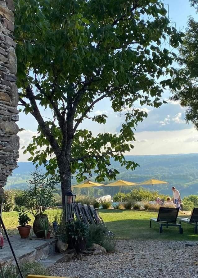 La Maison Bleue Juillac  Exteriér fotografie